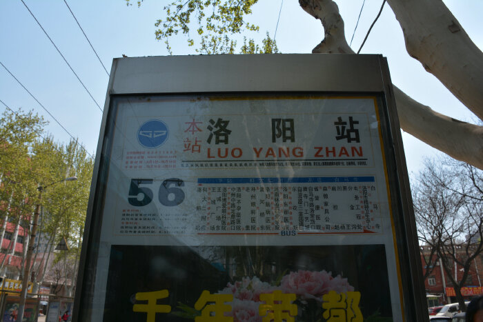 洛阳白马寺p4:吃完饭,中午12:20多,我们来到了火车站前的56路公交站牌