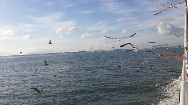 地址:仁川市中区月尾路252号 (北城洞1街)  月尾岛曾是距离仁川前海1