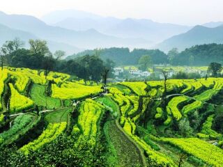 江西婺源风景区