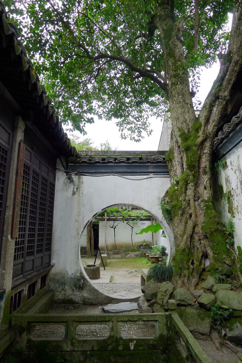 穿越时空 第六个故事:画圣徐渭_青藤书屋游记_途牛