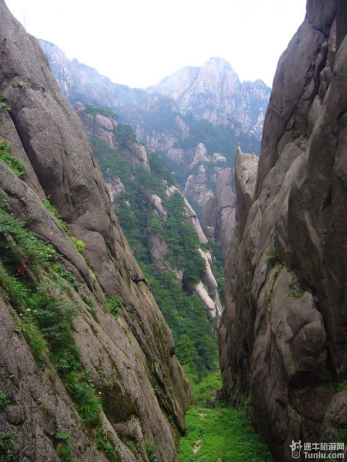 遠離城市喧囂,迴歸大山——黃山自駕三日遊_天都峰遊記_途牛