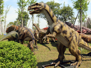 泰州凤城河田园牧歌景区