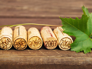 葡萄酒与贸易博物馆