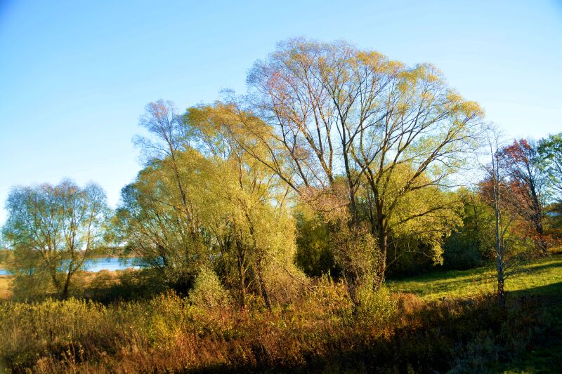 实在太美丽,真是金色的俄罗斯.俄罗斯,西伯利亚平原的风光无限美好.