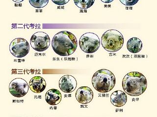 香江野生动物世界