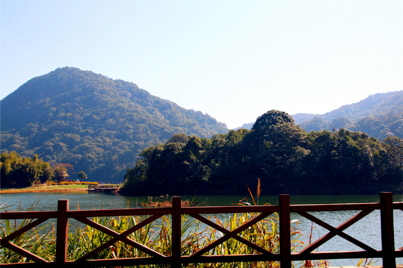 石灶景区内的南天池花田,面积近百亩,沿
