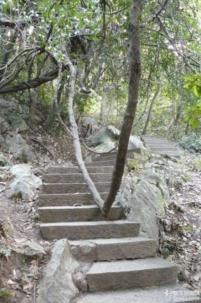 灵隐寺"飞来峰"虽不高,但登临的山路却峰回路转,沿途怪石嶙峋,树枝