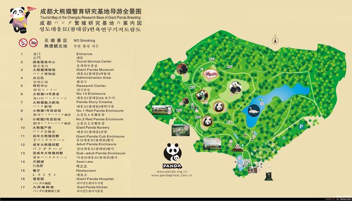 与大熊猫儿零距离接触