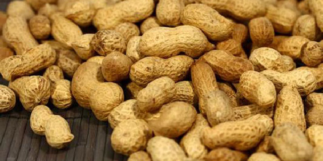 塞内加尔盛产花生,每到花生收获季节,"垒花生"比赛便成了当地人的一项