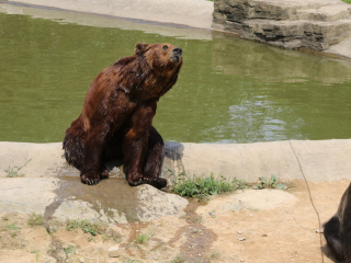 杭州野生动物世界