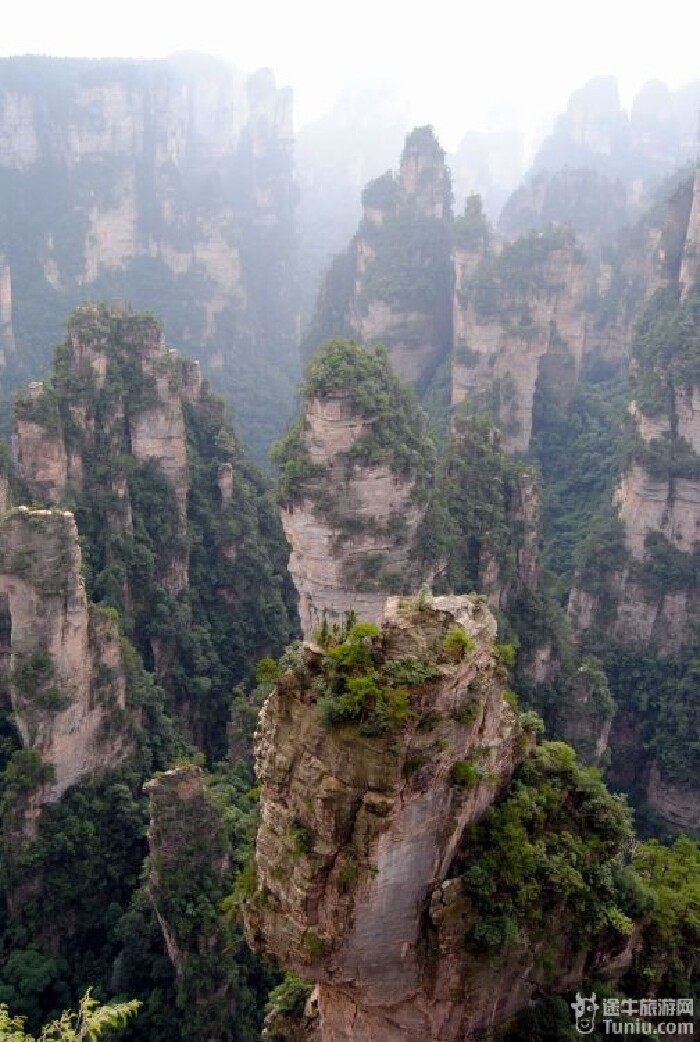 迷魂台景区,是袁家界景区较为精华的部分