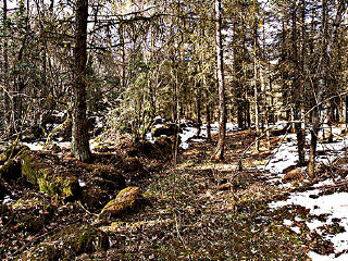 哀牢山茶马古道