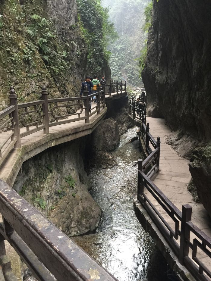 成都,魂牽夢繞之地,6天7夜獨自出行【多圖】_寬窄巷子游記_途牛