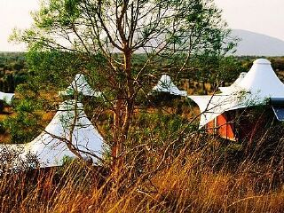 东经131°沙漠帐篷酒店