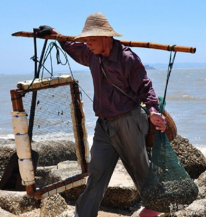      渔民在抓小海蟹