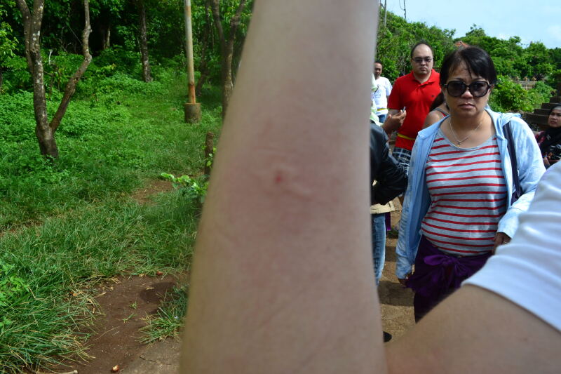 [巴厘岛]全程记录全家感受阳光,大海,沙滩的春节(费用明细)