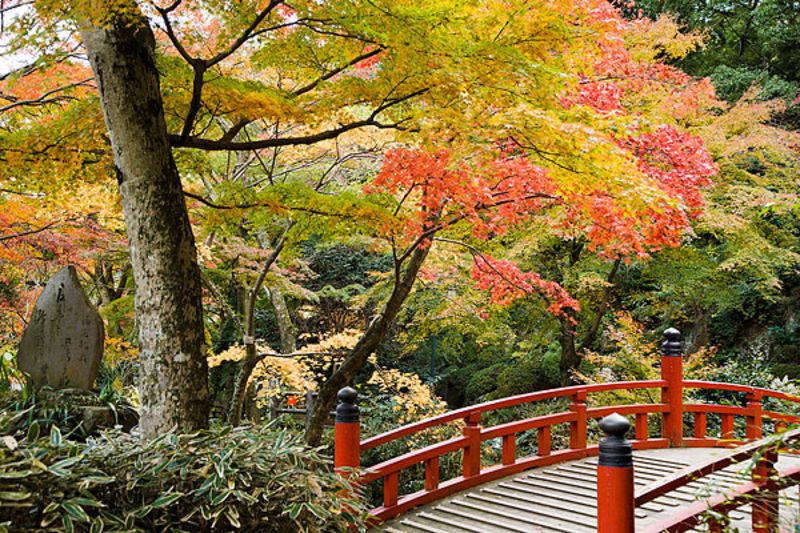 靜岡旅遊建議_靜岡旅遊線路推薦_日本靜岡旅行