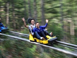 蒙山国家森林公园