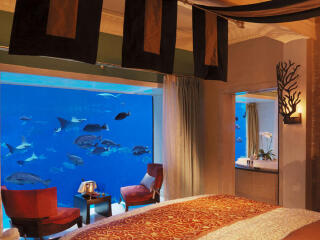 棕榈岛亚特兰蒂斯度假酒店