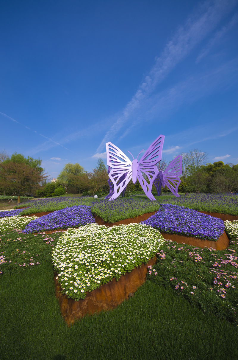 上海植物园看现实版"万物生长"