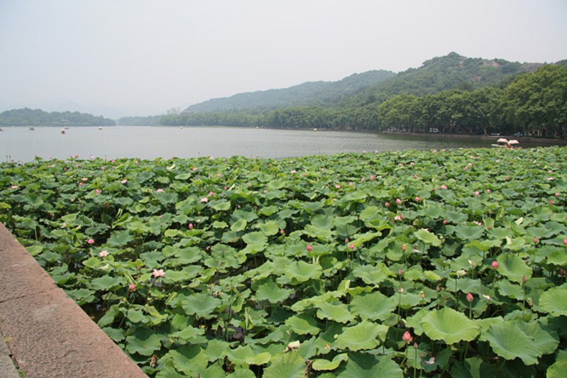 杭州印象西湖