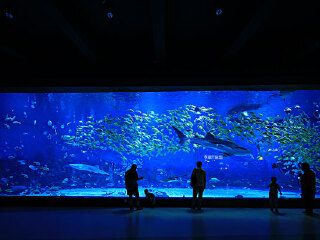 部濑名海中公园