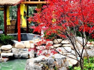 扬州瘦西湖天沐温泉