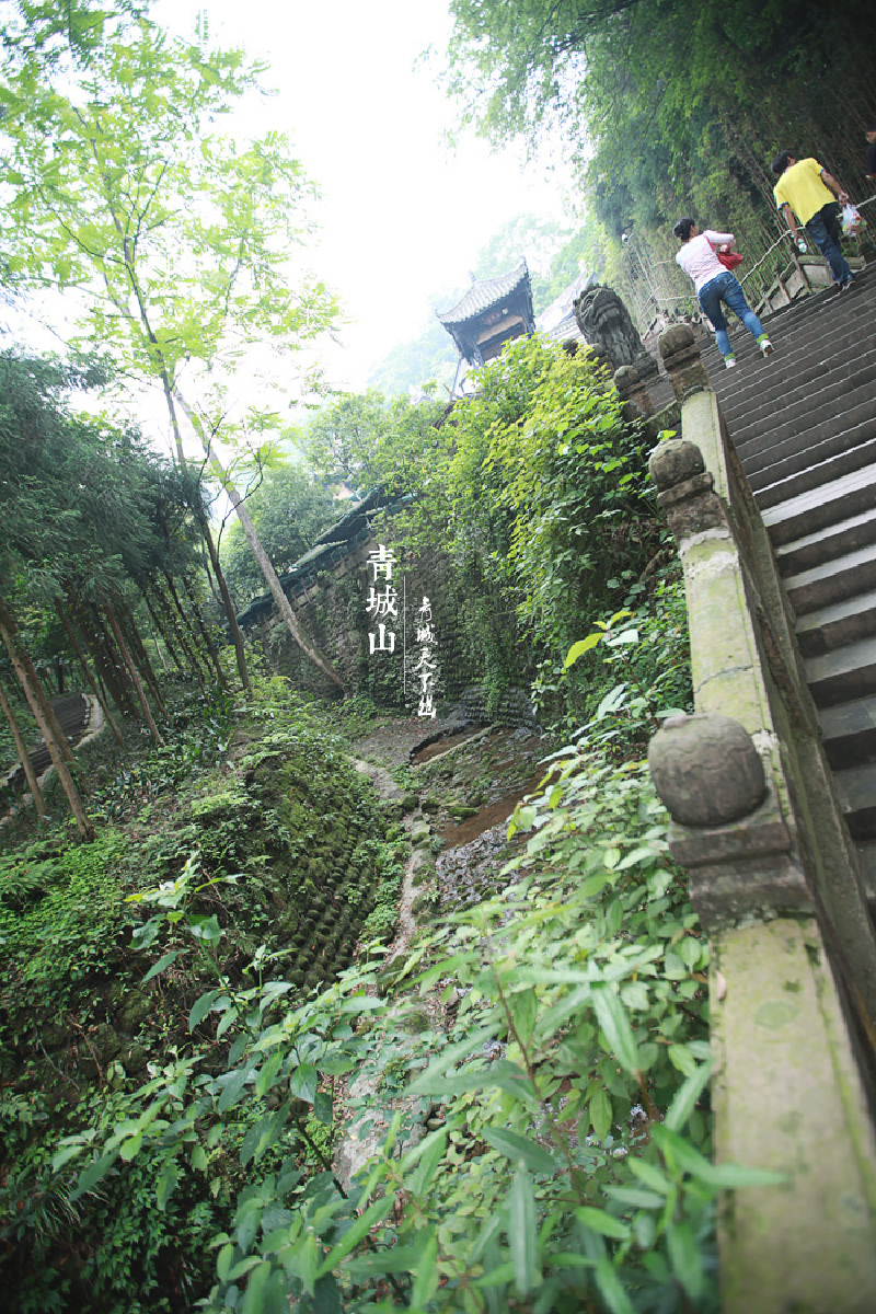 【四川】幽不過青城山 壯不出都江堰_青城山遊記_途牛