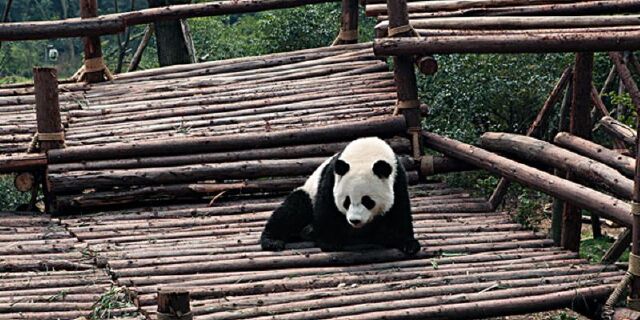亮点图片