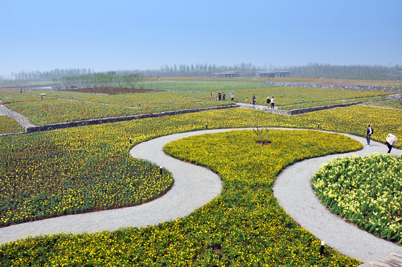 皂河古镇内遍布大量文物古迹,遗址,如龙王庙行宫,陈家大院,卢翰荫故居