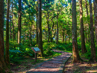 东眼山森林游乐场