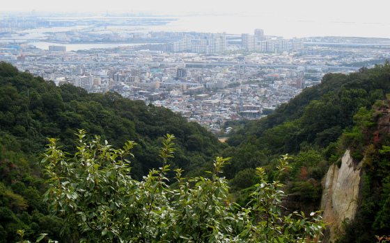 地址:〒658-0000 兵库县神户市