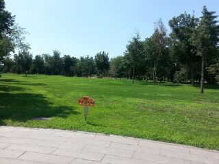 太阳岛公园风景区