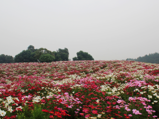 成都石象湖景区