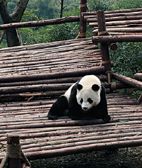 景点图片