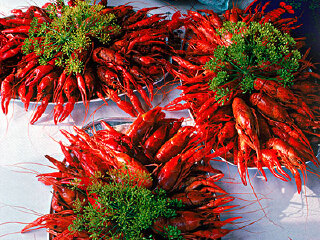 Restaurang Reenstierna Mommas Pub餐馆