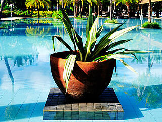 毛里求斯田园度假村