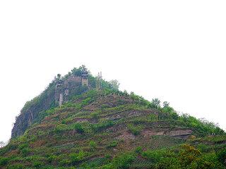 云阳国家森林公园