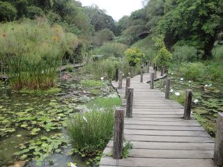 绿世界生态农场