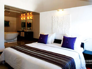 毛里求斯田园度假村