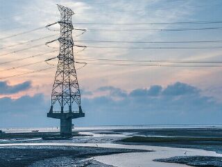 大肚溪口野生动物保护区