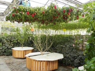 世界地热博览园