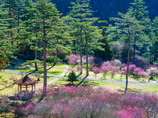 武陵森林游乐区