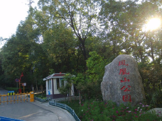 广元凤凰山公园
