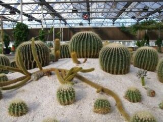 世界地热博览园