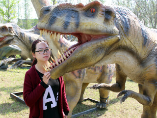 泰州凤城河田园牧歌景区
