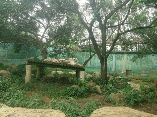 六福村主题游乐园