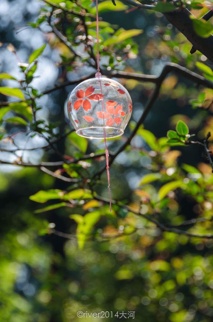 树枝上处处都有风铃.
