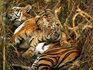 长沙生态动物园