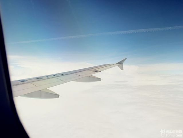 花开的城市落樱缤纷 台场 攻略游记 途牛